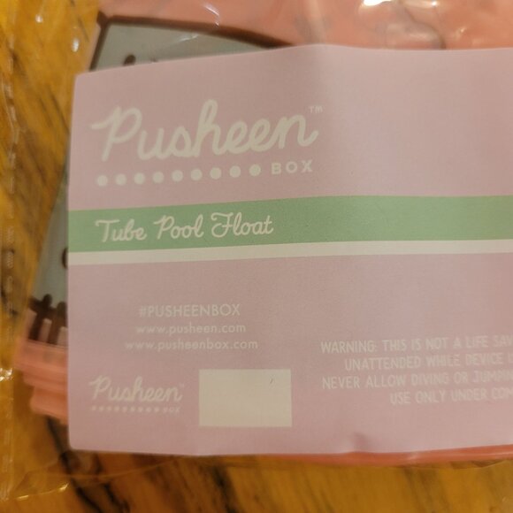Pusheen 2023 Summer Box Exclusive Ice Cream Theme Tube Pool Float Round Lifesave - Picture 3 of 8